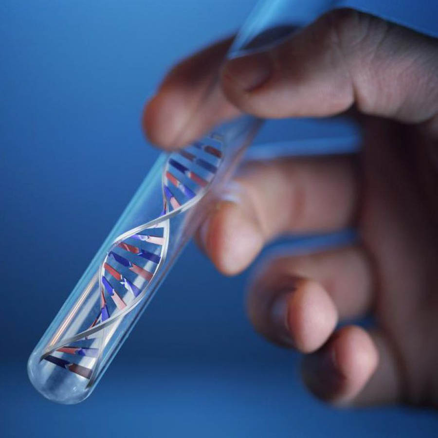 ДНК тестирование