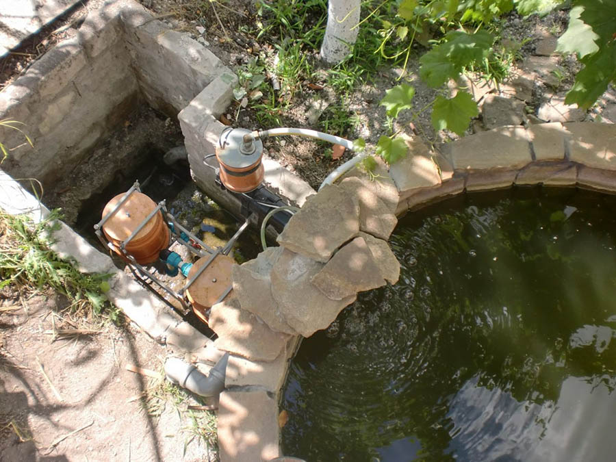 очистка воды в прудах и водоемах