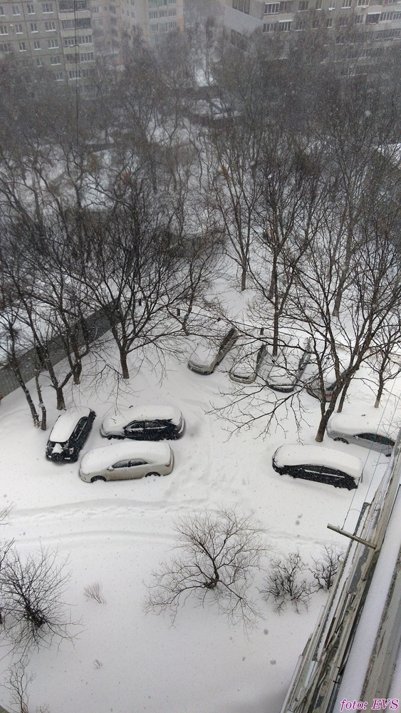 Владивосток март 2018 Евгений Сазанов