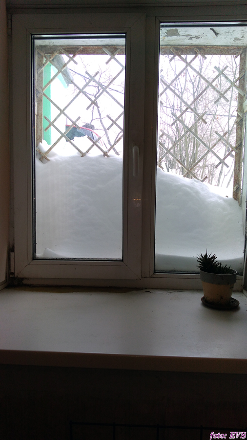 Владивосток март 2018 Евгений Сазанов