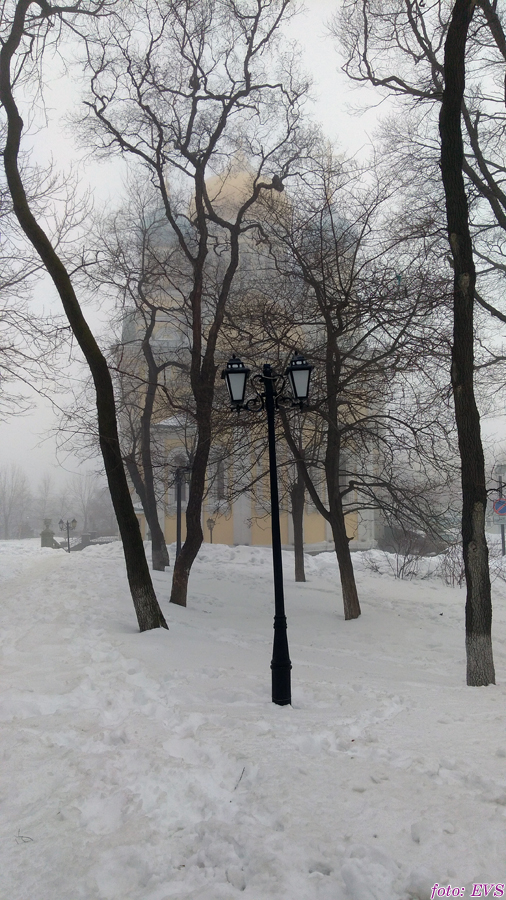 Владивосток март 2018 Евгений Сазанов