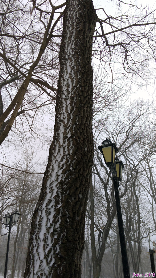 Владивосток март 2018 Евгений Сазанов