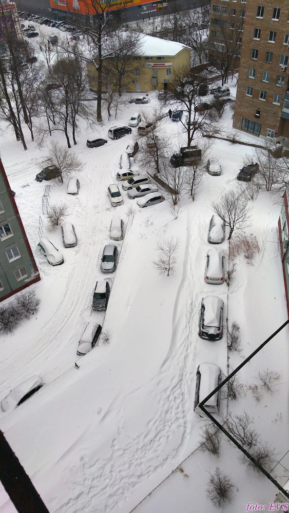 Владивосток март 2018 Евгений Сазанов