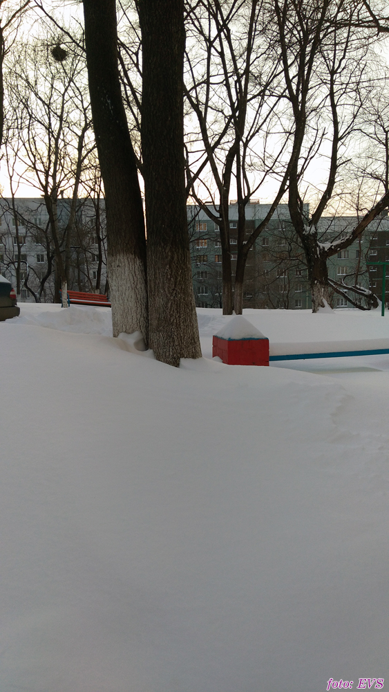 Владивосток март 2018 Евгений Сазанов