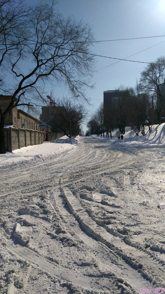 Владивосток март 2018 Евгений Сазанов