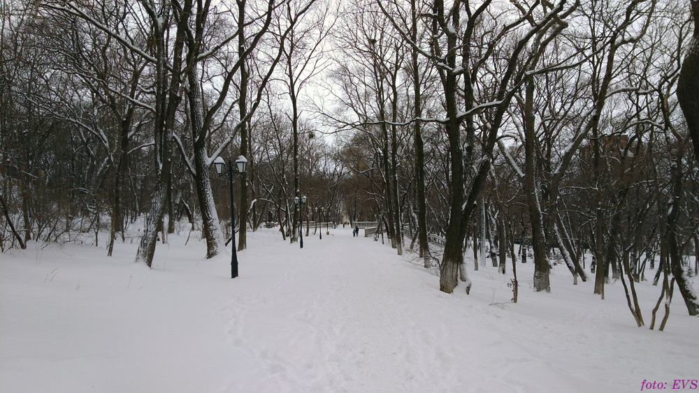 Владивосток март 2018 Евгений Сазанов