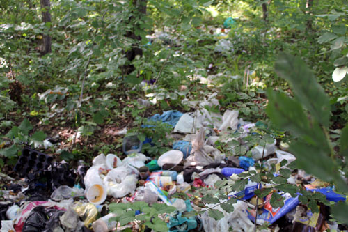 Свалка ТОР "Надеждинская"